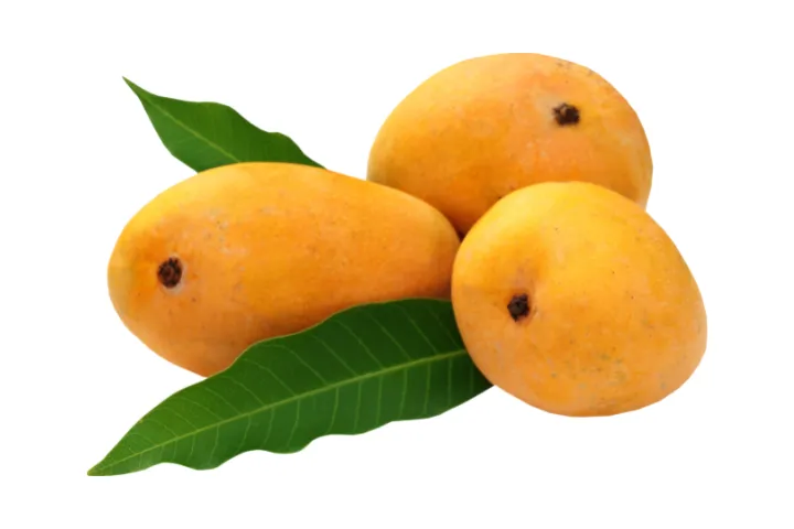 Mango Fruits Name in Hindi Fruits Name in Hindi