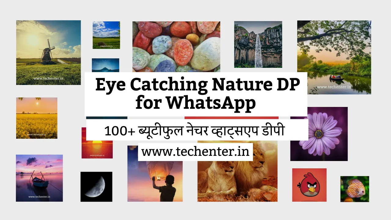 Eye Catching Nature DP for WhatsApp